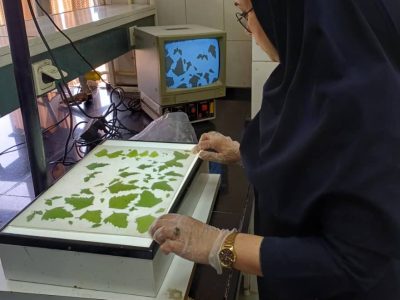 «نگاهی به چالش‌های امنیت غذایی در ایران»