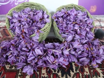 دفتر امور روستایی استانداری کرمان حامی توسعه برند ملی «زعفران راویز» شد