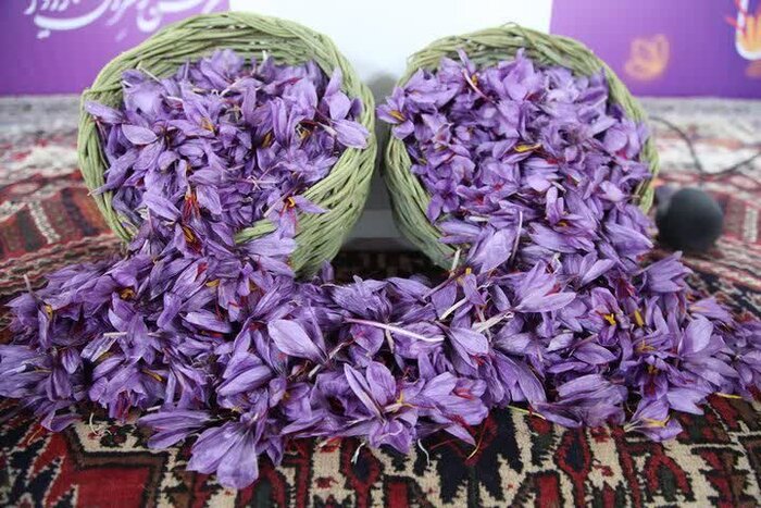 دفتر امور روستایی استانداری کرمان حامی توسعه برند ملی «زعفران راویز» شد