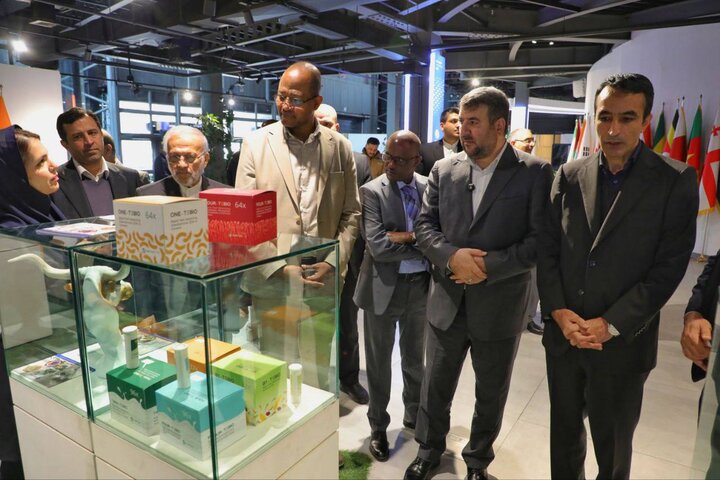«آفریقا» شریک راهبردی ایران در زیستبوم فناوری و نوآوری