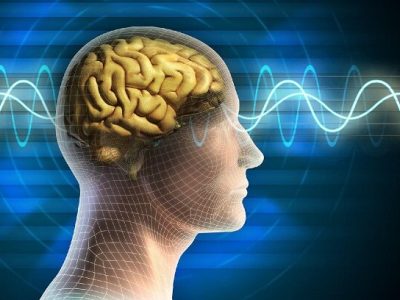 ارتقای دانش در حوزه سازوکارهای مغزی کنترل توجه در بینایی