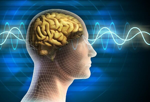 ارتقای دانش در حوزه سازوکارهای مغزی کنترل توجه در بینایی