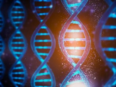 نقشه ۳ بعدی ژنوم جدید انسان راز  DNA را فاش کرد