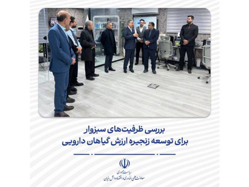 بررسی ظرفیت‌های سبزوار برای توسعه زنجیره ارزش گیاهان دارویی