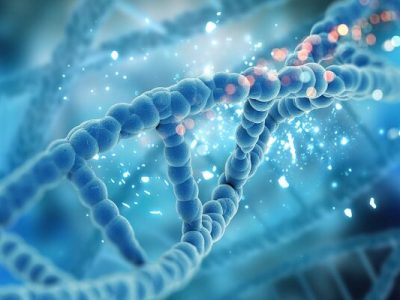 DNA در نقش معمار نانو؛ راهی تازه برای طراحی سه‌بعدی مواد پیشرفته