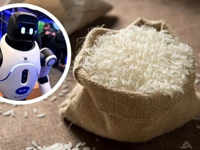 استفاده از برنج در ساخت روبات‌ها و تجهیزات مقاوم در برابر ضربه