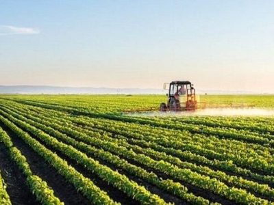 رفع تنگناهای فناورانه برای کاهش وابستگی در حوزه غذا و کشاورزی
