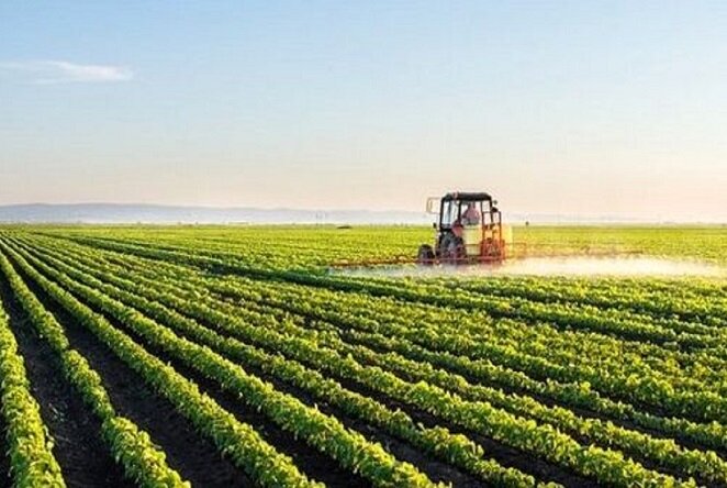 رفع تنگناهای فناورانه برای کاهش وابستگی در حوزه غذا و کشاورزی