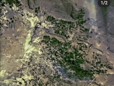 مطالعه پژوهشگر ایرانی دانشگاه تربیت مدرس جهانی شد؛ علفزارها مخزن کربن